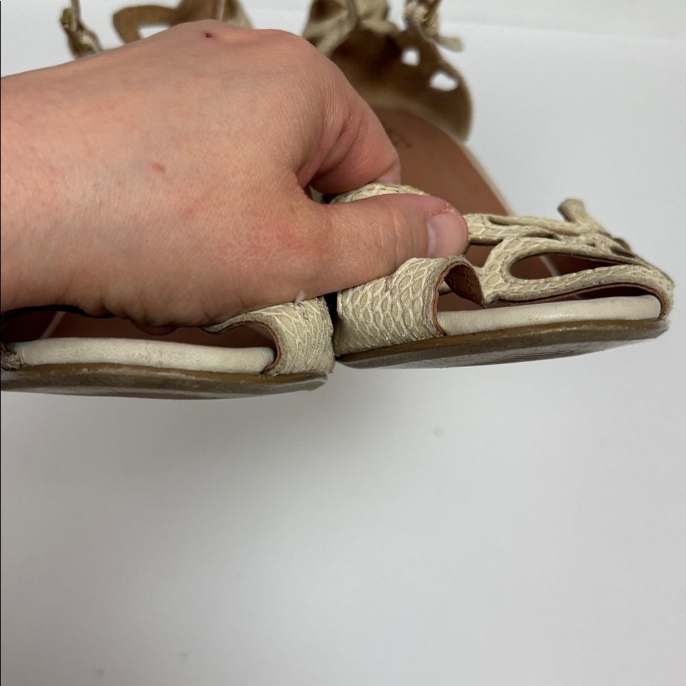 Klub Nico Elegant Beige Women's Chunky Cutout Heels - 10 - Picture 12 of 15